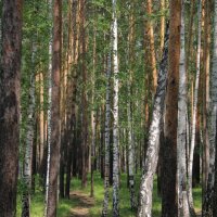 тропа :: Игорь 