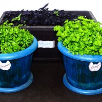 93 :: Василий Палий