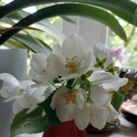 *** :: Валентина Береснева *** :: Валентина Береснева