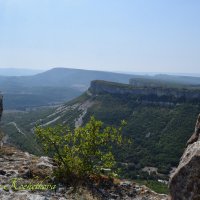 Природа Крыма :: Amazing Cosmea