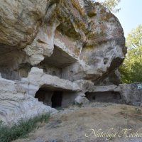 Природа Крыма :: Amazing Cosmea