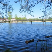 Прогулка по Богородицку :: ИРЭН@ .