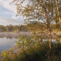 Утро туманное :: Sergey38 