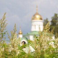 *** :: Сергей Сергеев *** :: Сергей Сергеев