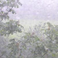 Гроза. :: Харис Шахмаметьев