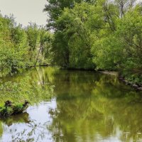 По дороге ... :: Kirill 