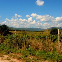 ОБЛАКА :: Татьяна Касьяненко