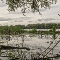 Затоп :: sorovey Sol