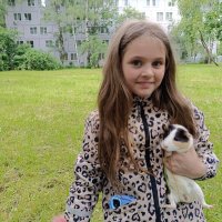 Такие славные... :: Мария Васильева Такие славные... :: Мария Васильева