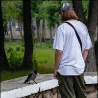 Общение :: Александр Тарноградский Общение :: Александр Тарноградский