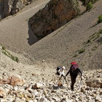 ПО ГОРАМ. :: Виктор Осипчук