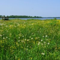 Летом на Томи :: Галина Кан Летом на Томи :: Галина Кан