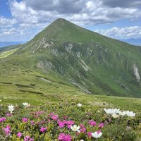 ранкові Карпати :: Степан Карачко