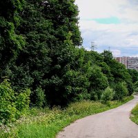 Аллея для прогулок :: Анатолий Колосов