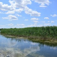 Протока. :: Виктор 