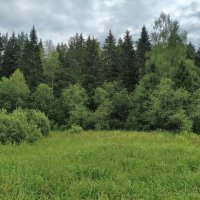 *** :: Денис Бочкарёв *** :: Денис Бочкарёв