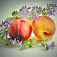 ПЕРСИКИ... :: Elvira E. 