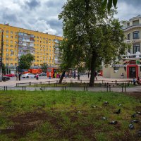 Голуби на улице города :: Александр Синдерёв