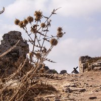 Путь на Голгофу :: Владимир Шишкин