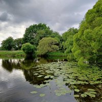 Редкий день в июне без дождя. :: Лия ☼
