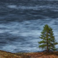 Июньский лёд :: Дмитрий Шишкин