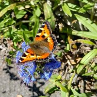 лето. :: Михаил Столяров