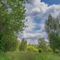 Конец июня... :: Владимир Жданов