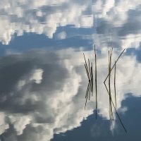 Наша жизнь, как отражение небес :: Владимир 