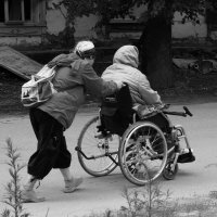 Дорогой домой. :: Дмитрий Янтарев