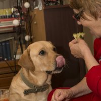 ?!?!?! :: Иван К