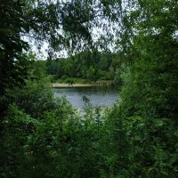 Июнь уж отступил. Он был таким. Июни не выбирают :-) :: Андрей Лукьянов