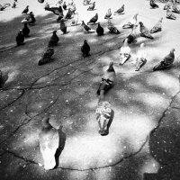 Назва. отсу. :: Денис Безногов