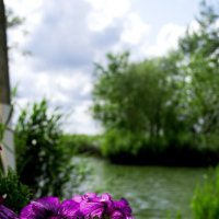 Отдых :: Oksana Verkhoglyad Отдых :: Oksana Verkhoglyad