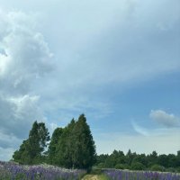 Это Россия :: Алексей Домрин