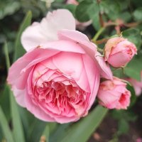 ,,, :: Сергей Тимоновский ,,, :: Сергей Тимоновский