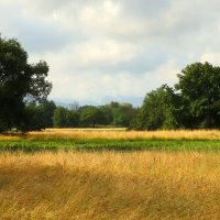 Утро :: Юрий. Шмаков