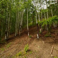 Крутой подъём... :: Николай Гирш