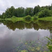 1 июля :: Алена