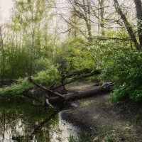 Весна на озере Тортиллы :: Валерий VRN Весна на озере Тортиллы :: Валерий VRN