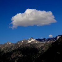 Кто выше? :: Александр Кондаков