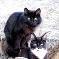 Семья :: Валерий Семья :: Валерий