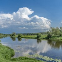 Летний день на Москве-реке под Звенигородом :: Владимир Езеров 
