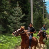 В горе... :: Кръстьо Шилев