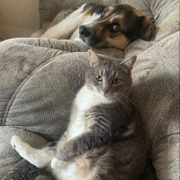 Все вакантные места заняты) :: Ирина *