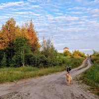 Дороги, зовущие в путь! :: Елена Хайдукова  ( Elena Fly )
