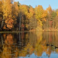 Осенний вечер...... :: Юрий Цыплятников