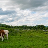 Полдень :: Петр 