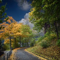 Дорога в осень :: Андроник Александр Дорога в осень :: Андроник Александр