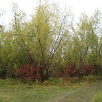 Прогулки :: Anna Ivanova