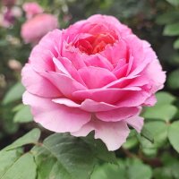 ,,, :: Сергей Тимоновский